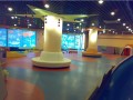 室内PVC塑胶地板